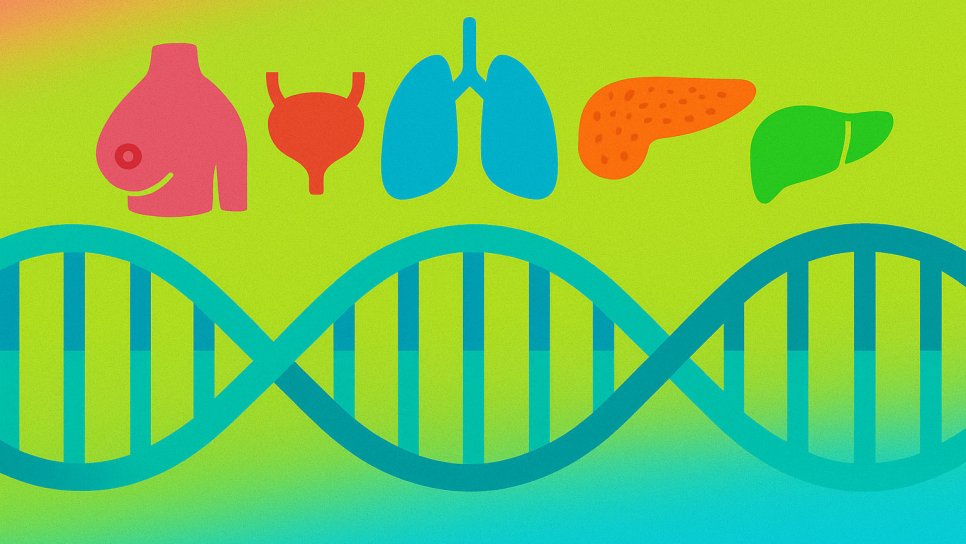 16 Gendeki Kalıtsal Mutasyonlar, Çoklu Kanser Riskine Yol Açıyor – Genetik Testlerin Önemi
