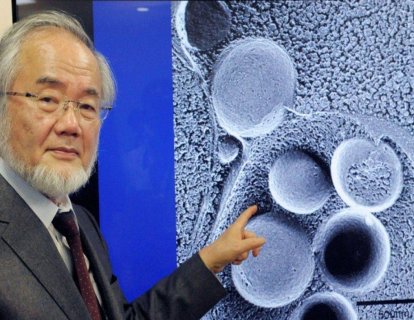 2016 Nobel Tıp Ödülü Otofaji çalışmaları ile Yoshinori Ohsumi’ye verildi