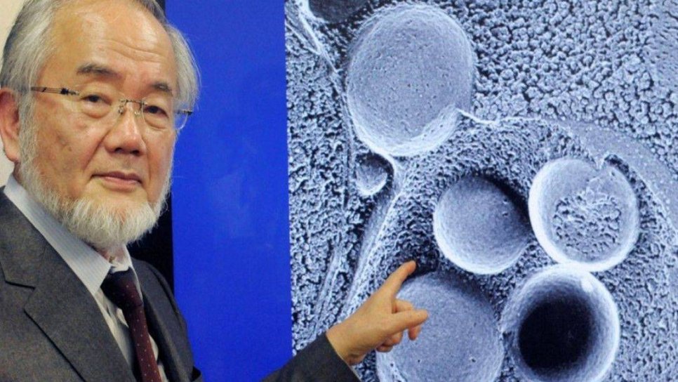 2016 Nobel Tıp Ödülü Otofaji çalışmaları ile Yoshinori Ohsumi’ye verildi