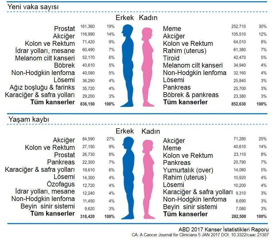 2017 ABD kanser istatistikleri cinsiyete ve turlere gore en sik gorulen kanserler 495286