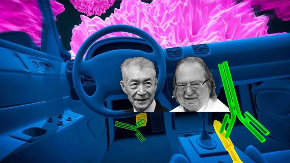 2018 Nobel Tıp Ödülü kanser immünoterapi çalışmaları ile James Allison ve Tasuku Honjo'nun