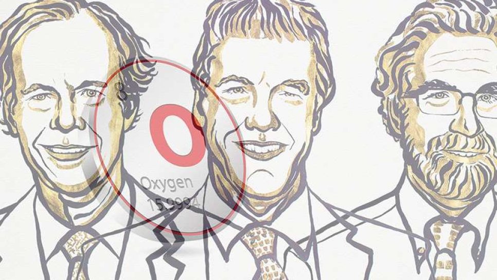 2019 Nobel Tıp veya Fizyoloji Ödülü – kime verildi, konusu ve önemi