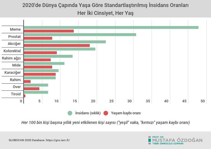 Weltweite altersstandardisierte Inzidenzraten 2020 beide Geschlechter alle Altersgruppen