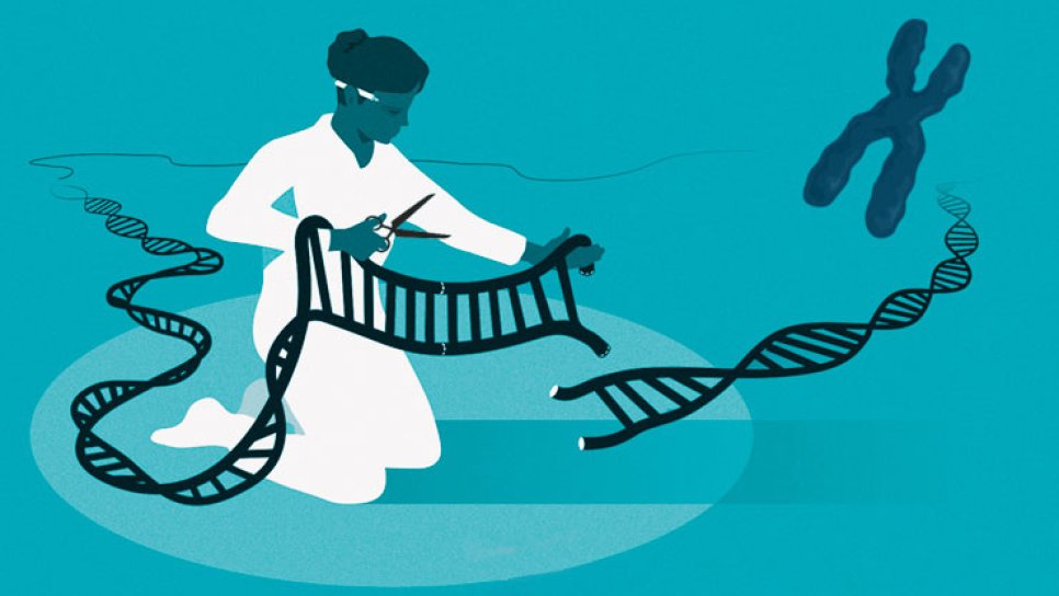 Нобелевская премия по химии 2020 года — генетические ножницы CRISPR-Cas9