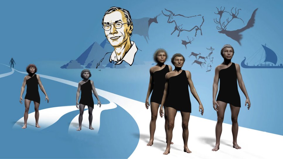 2022 Nobel Fizyoloji veya Tıp Ödülü'nden Ne Anlamalıyız?