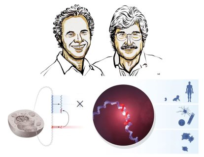 2024 Nobel Tıp Ödülü MikroRNA Keşfiyle Gen Düzenlenmesindeki Rolüne Verildi