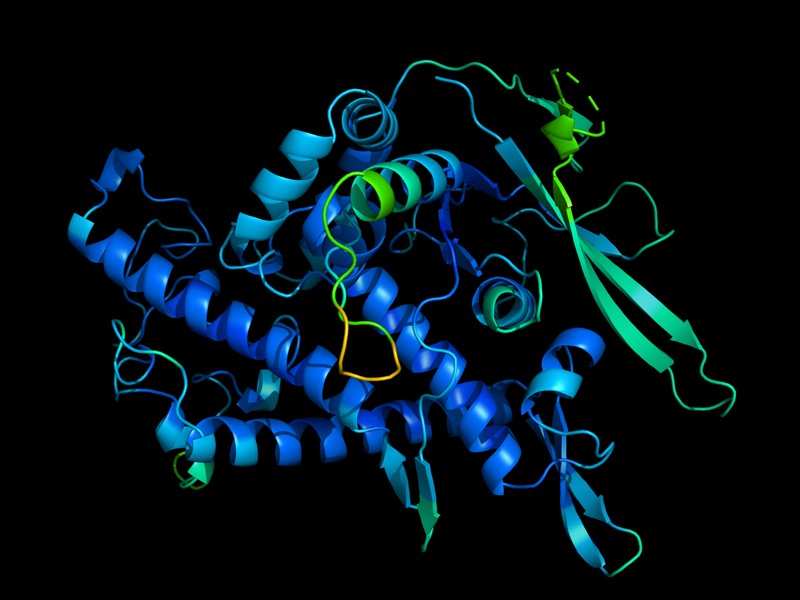 3d sekli ile tanimlanmis bir proteinin fonksiyonu deepmind 805142