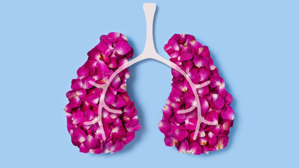 FDA-Zulassung für Nivolumab plus Ipilimumab und Chemotherapie als Erstlinienbehandlung bei nichtkleinzelligem Lungenkrebs im Stadium 4