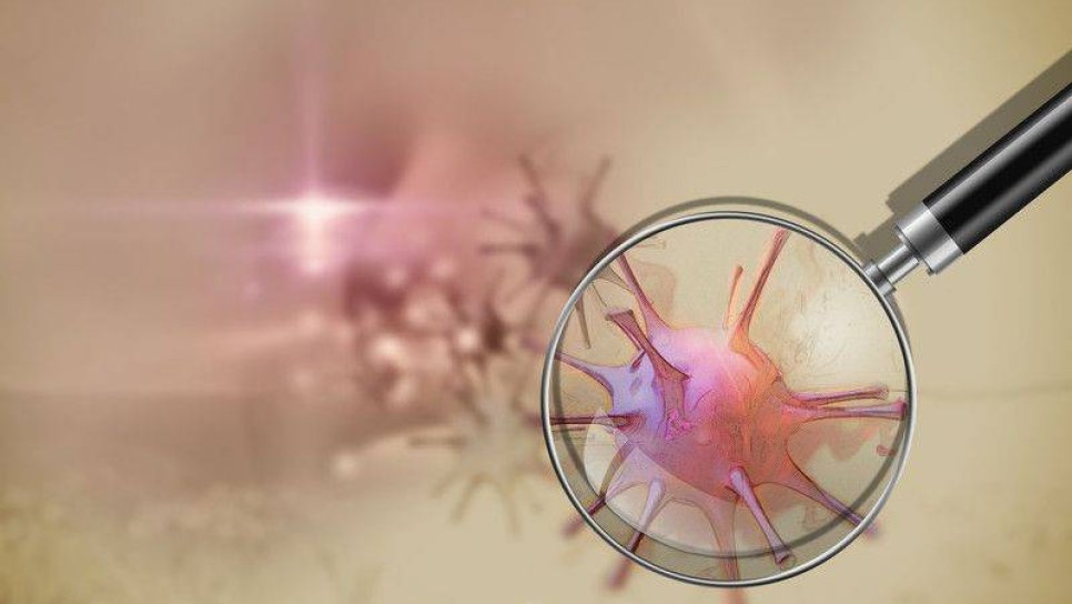 4. Evre Veya Tekrarlamış Baş ve Boyun Kanserlerinde Pembrolizumab Adlı İmmünoterapi İlacı FDA Onayı Aldı