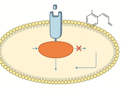 Fluorouracil (5-FU) Nedir? FDA Onayı, Türkiye Ruhsatı ve Geri Ödeme Durumu