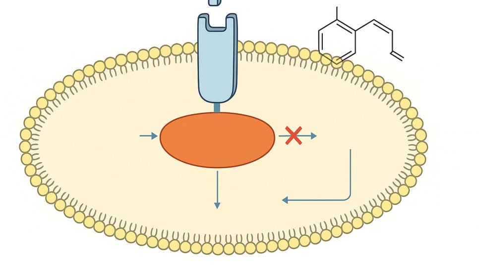 Was ist Fluorouracil (5-FU)? FDA-Zulassung, Zulassung in der Türkei und Kostenerstattung