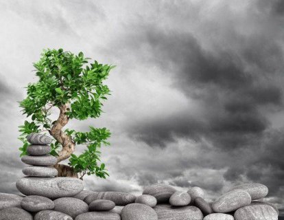 Ameliyat Edilmiş Pankreas Kanserinde Gemsitabin Kemoterapisine Kapesitabin Eklenmesi Yaşam Sürelerini Uzatıyor