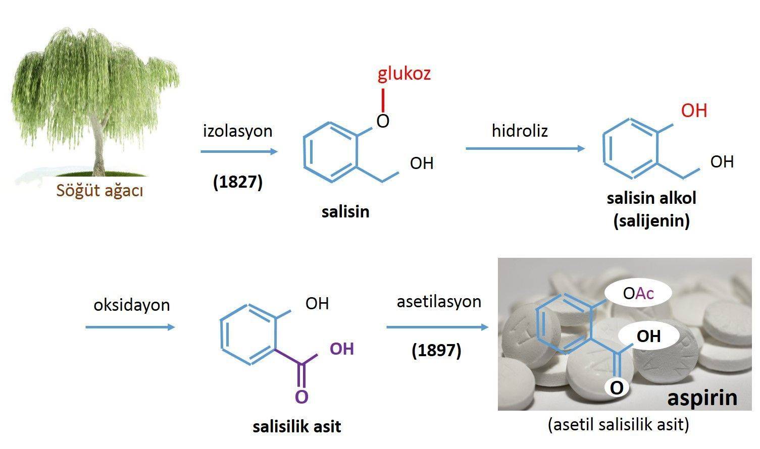 Aspirin ve Kanserden Korunma 720489