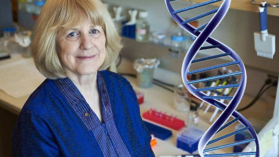 BRCA Genini Keşfederek Kanser Tarihini Değiştiren Mary Claire King
