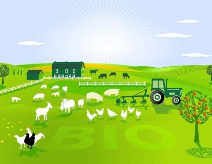 Besin Katkı Maddeleri, Gıda İşleme, Işınlanmış Gıdalar ve Organik Tarım