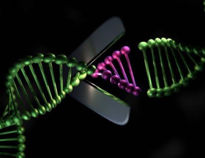 Crispr-cas9 nedir, mekanizması, tekniği, açılımı?