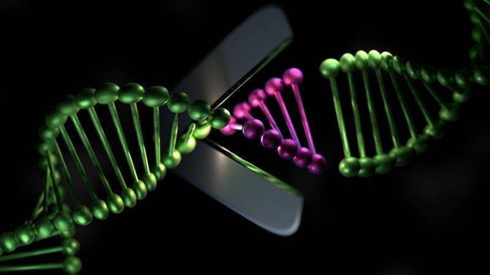 Crispr-cas9 nedir, mekanizması, tekniği, açılımı?