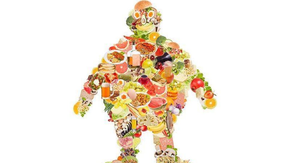 Bilimin Işığında Obezitenin Anlamı, Etkileri ve En Sağlıklı Diyetler