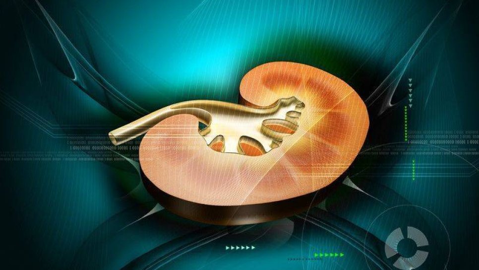 Böbrek Kanseri Ameliyatı Sonrası Koruyucu Tedavi İlk Kez FDA Onayı Aldı