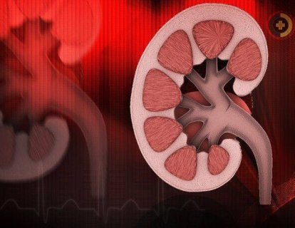 Böbrek Kanseri Tedavisi İçin Yeni İki İlaç: İmmünoterapi İlacı Nivolumab (Opdivo) ve Tirozin Kinaz İnhibitörü Cabozantinib Büyük Başarı Gösterdi
