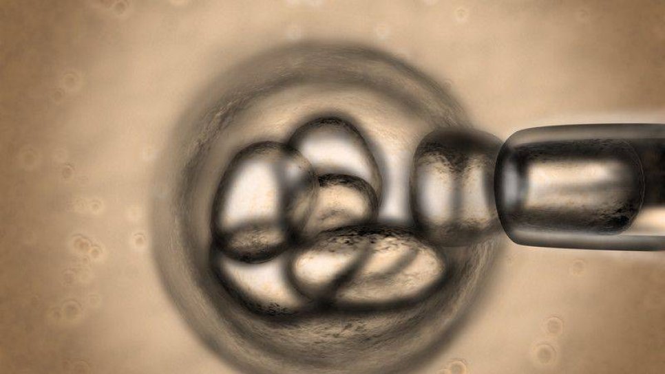 CRISPR ile Deri Hücreleri, Kök Hücrelere Dönüştürüldü