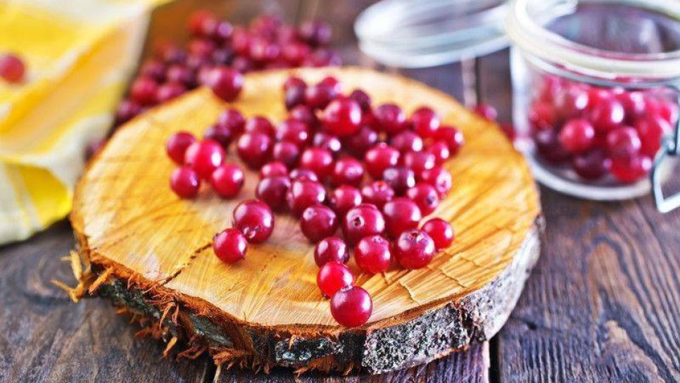 Cranberry - turna yemişi ve kanser tedavisi