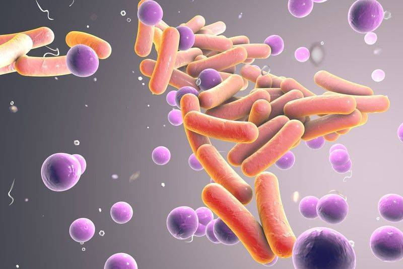 Crispr ile coklu ilac direncliligine sahip bakteri enfeksiyonlarini tedavi etmek 32037