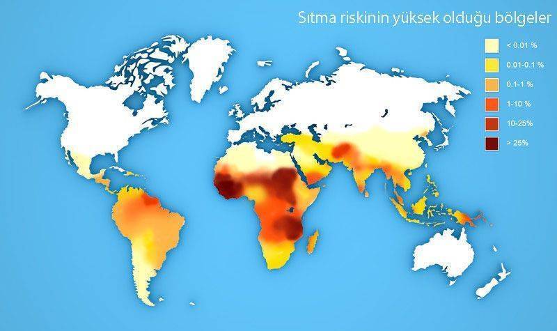 Crispr ile sitma tedavisi 934072