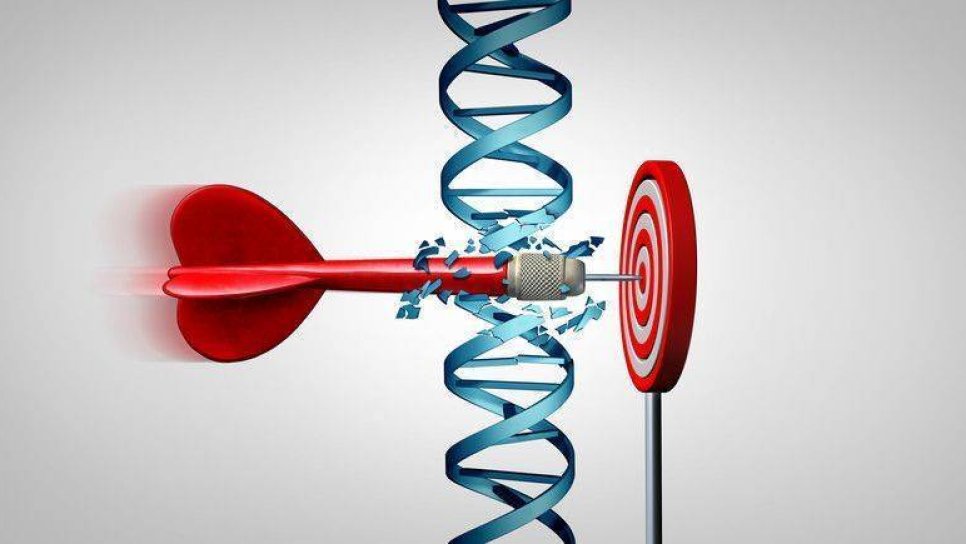 Crispr teknolojisi ile gerçekleştirilen 7 heyecan verici gelişme