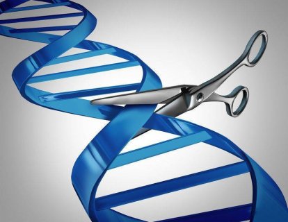 Crispr tarihi nedir? Crispr için Çin ile ABD arasındaki patent savaşları