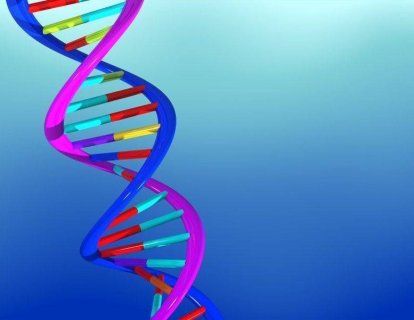 DNA Nedir? DNA Hasarı Kanserleşmeyi Nasıl Etkiler?