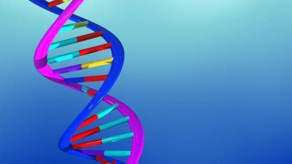 DNA Nedir? DNA Hasarı Kanserleşmeyi Nasıl Etkiler?