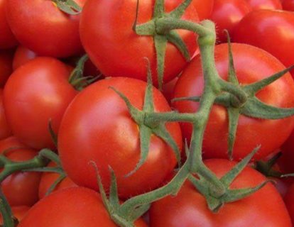 Daha Fazla Domates Yiyerek Prostat Kanserinden Korunabilir Miyiz?