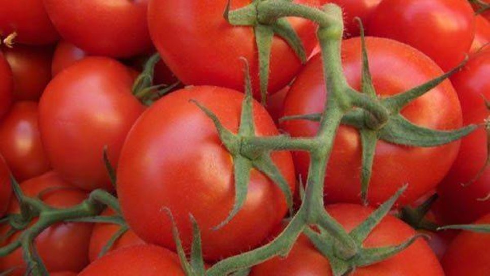 Daha Fazla Domates Yiyerek Prostat Kanserinden Korunabilir Miyiz?