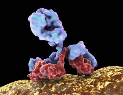 Daha Önce Tedavi Almamış Foliküler Lenfoma İçin Obiutuzumab FDA Onayı Aldı