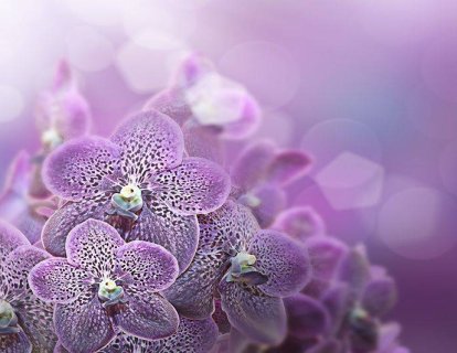 Desmoid Tümör Nedir? Belirtileri Nelerdir ve Nasıl Tedavi Edilir?