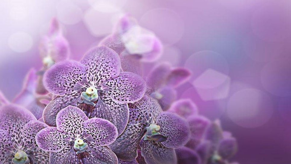 Desmoid Tümör Nedir? Belirtileri Nelerdir ve Nasıl Tedavi Edilir?