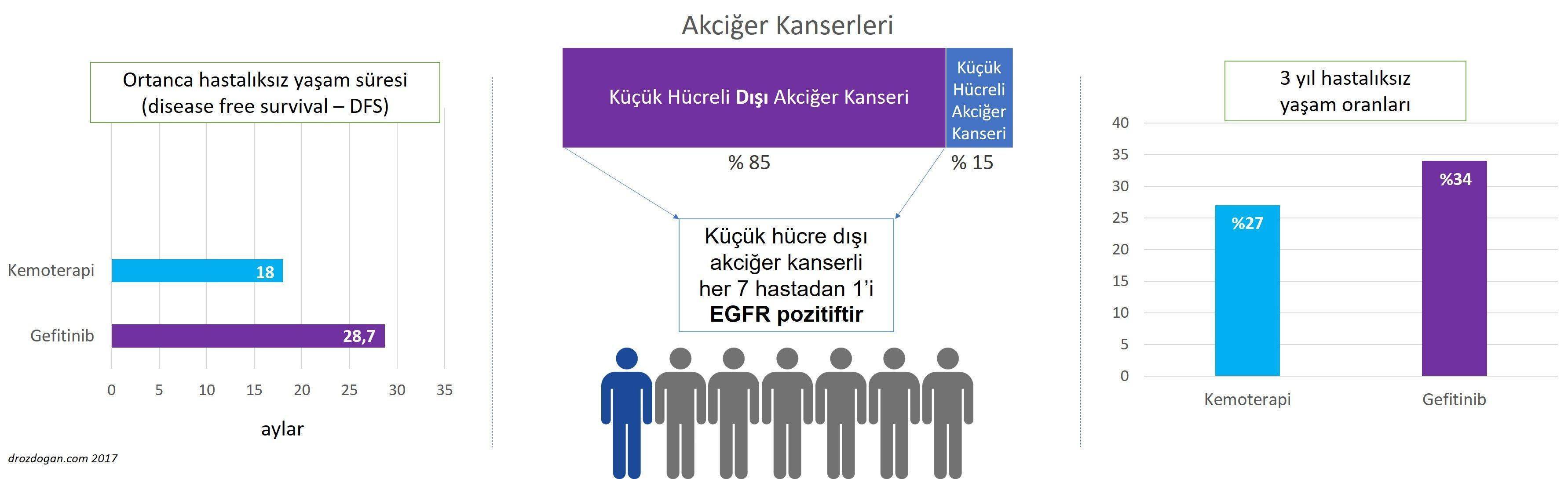 EGFR pozitif akciger kanseri adjuvan gefitinib kemoterapi karsilastirmasi 148891