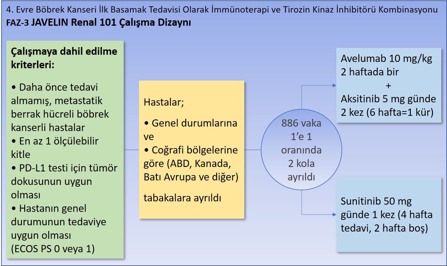 FAZ 3 JAVELIN Renal 101 calisma Dizayni bobrek kanseri avelumab axitinib 172260