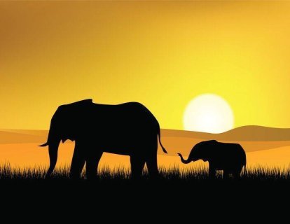 Filler neden kanser olmaz?