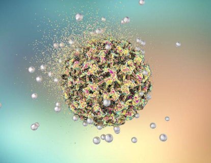HPV - Human Papillomavirus Nedir ve Nasıl Kansere Nasıl Yol Açar?