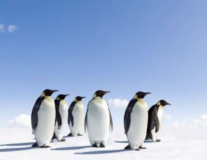 Herceptin Biyobenzeri Ogivri, Meme ve Mide Kanseri İçin FDA Onayı Aldı