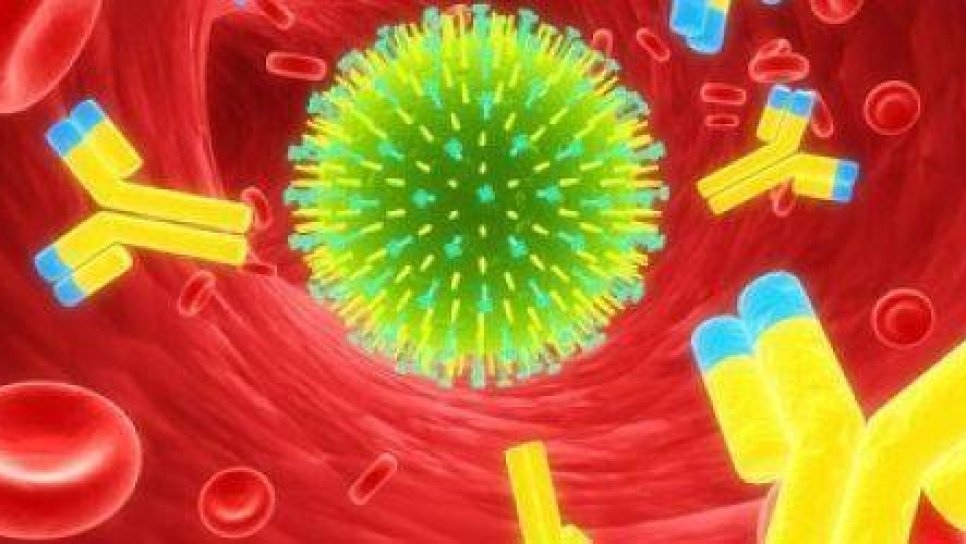 İmmünoterapi ilacı Nivolumab Hodgkin lenfoma tedavisi için FDA onayı aldı