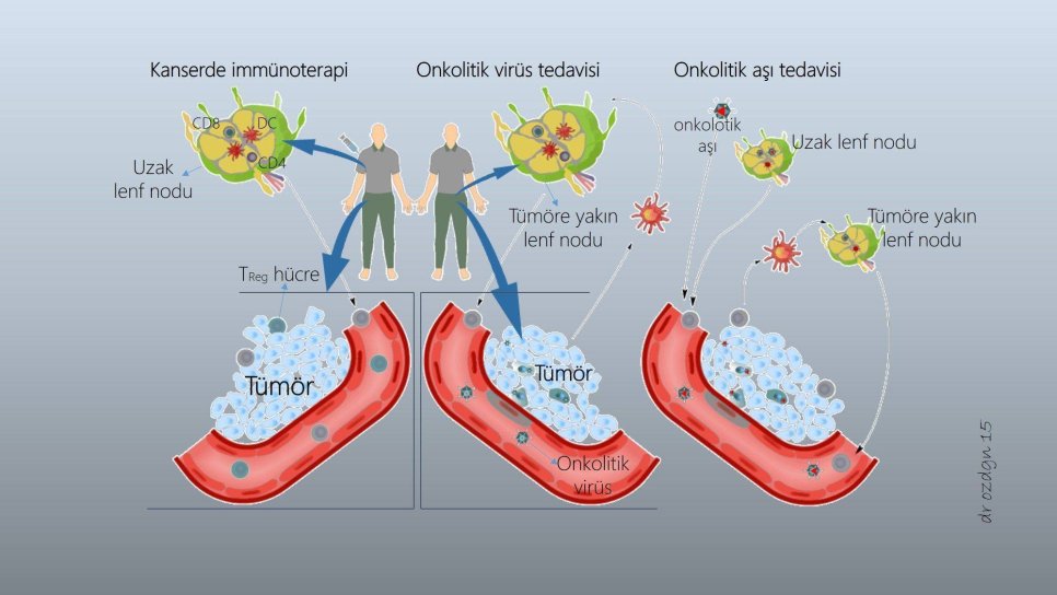İmmunoterapi ve ötesi: kanser aşısı