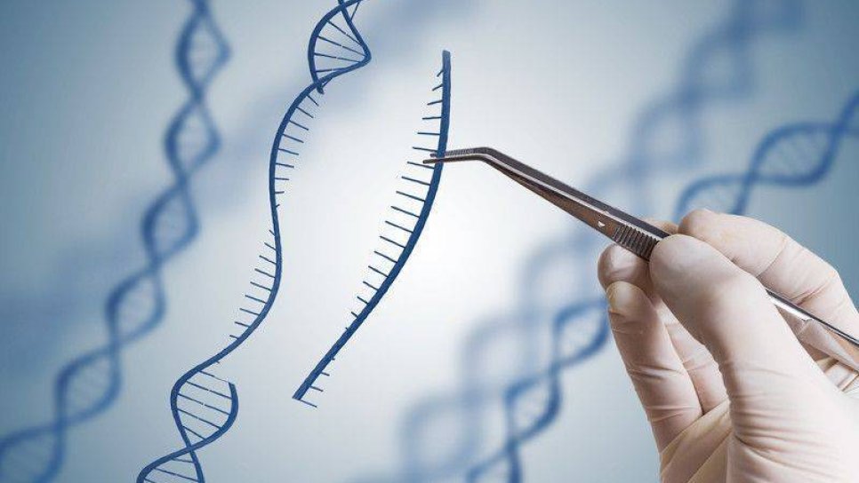 Kalıtsal Kanserlerin Araştırılmasında CRISPR Genetik Tekniği Kullanılacak