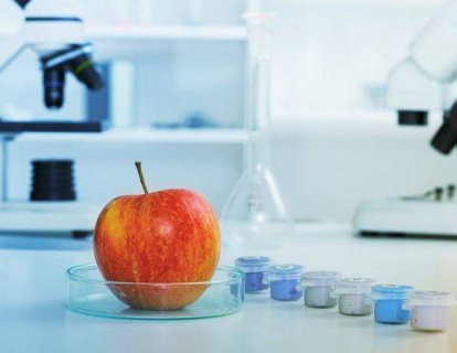 Kanser Tedavisi Sırasında ve Sonrasında Gıda Güvenliği