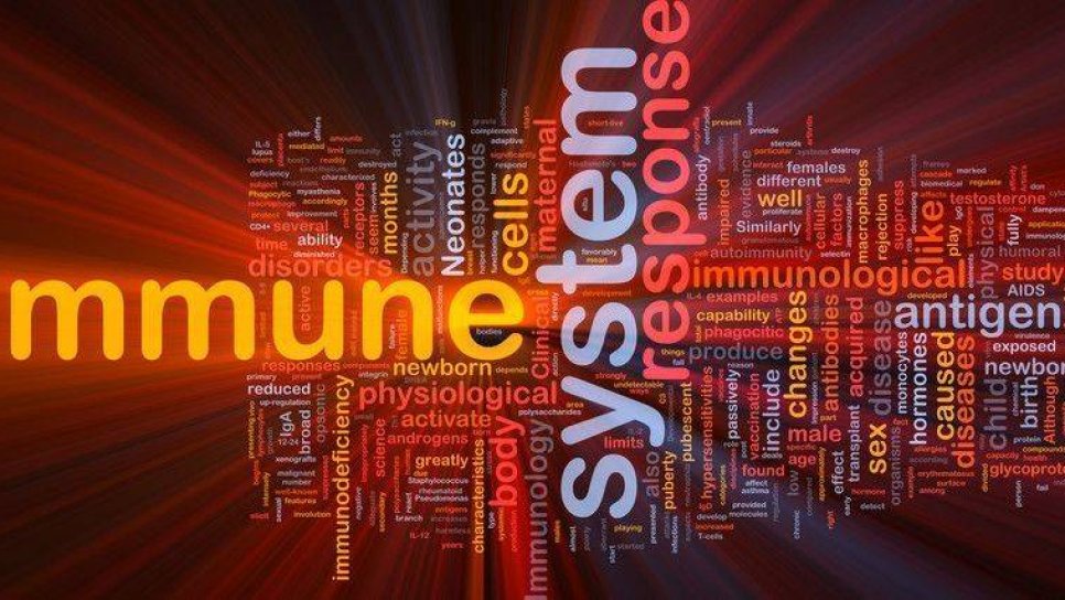 Kanser Tedavisinde İmmünoterapinin Uzun Vadedeki Etkinliği D Vitamini ile Arttırılabilir mi?