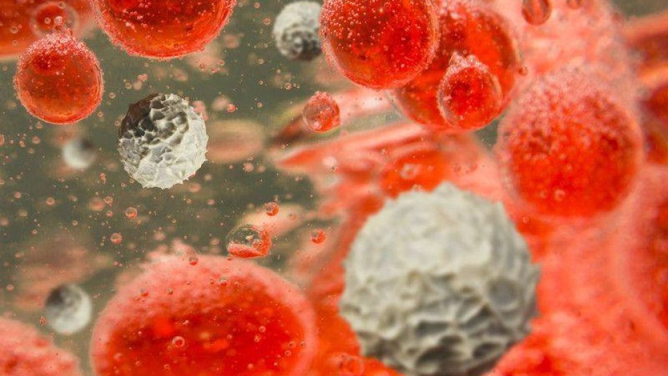 Kanserde büyük gelişme: canlı ilaç CAR T hücre tedavisi FDA onayı aldı!