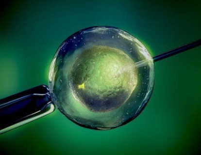 Kanserli Hastalar İçin Embriyo Dondurma ve Kısırlık Tedavisi Hakkında Bilgiler