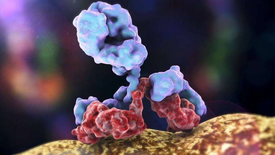 Karaciğer Kanseri Tedavisi İçin İmmünoterapi Nivolumab FDA Onayı Aldı